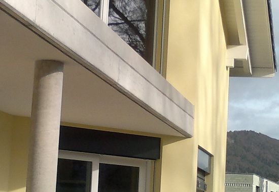 Queloz b.jpg