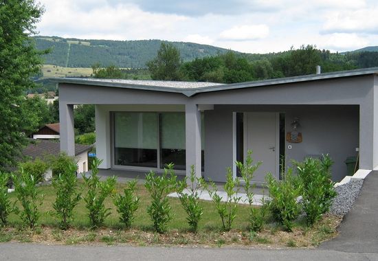 Fin d'oie a.jpg