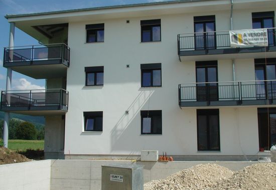 Triollet b.jpg